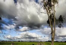 眾友唯有一瞥世界超級球星足球賽!.