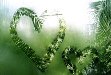 CCTV这是想干嘛7亮7回复.